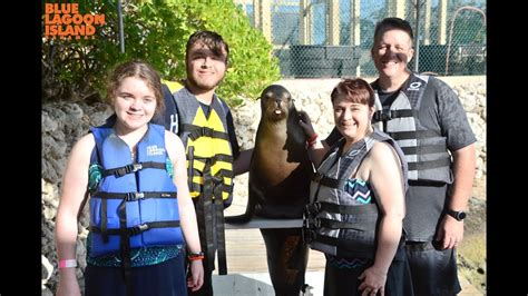 Sea Lion Encounter At Blue Lagoon Nassau Bahamas Youtube