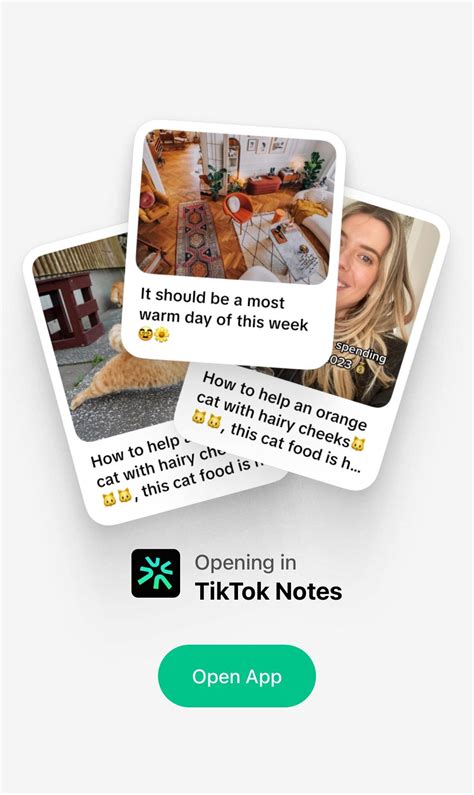 Tiktok Lance Une Nouvelle App Pour Aller Concurrencer Insta A S