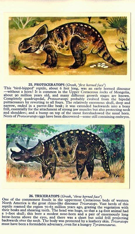 210 Best Vintage Dinosaur Books ideas | dinosaur, dinosaur art ...