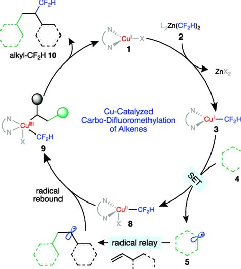 Proposed Catalytic Cycle For The Copper Catalyzed Download