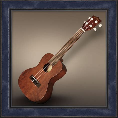 Ukulele, Concert, Makala - Wild Acoustic Music Co