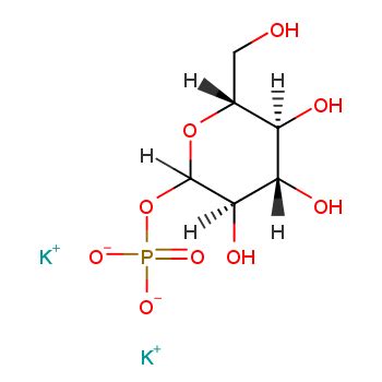 GLUCOSE 1 PHOSPHATE DIPOTASSIUM SALT 29732 59 0 Wiki