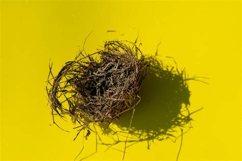 How To Deal With Empty Nest Syndrome