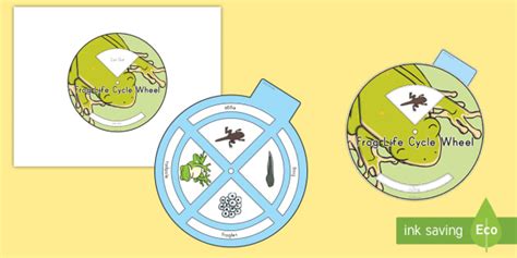 FREE Frog Life Cycle Spin Wheel Cut Outs Teacher Made