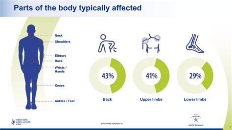 Introduction To Musculoskeletal Disorders Msds Prevention Ppt