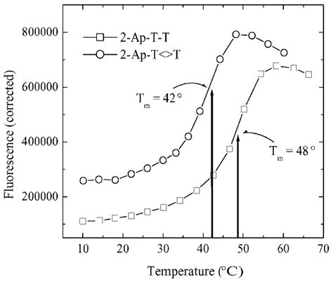 Dna Melting Curves Obtained By Measuring The Fluorescence Intensity Download Scientific Diagram