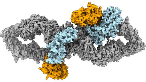 The Structure Of Neurofibromin Isoform Reveals Different Off