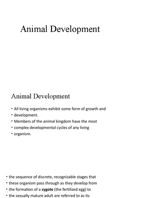 Animal Development | PDF