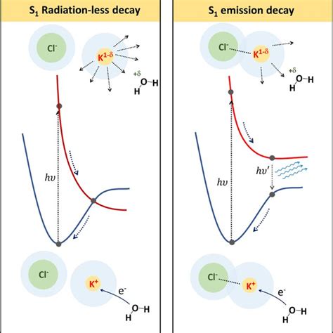 Proposed Model For S 1 Ion Dynamics Of Kcl Solution At Low Download Scientific Diagram