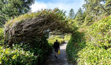 Wild Pacific Trail Lighthouse Loop, Ucluelet | Hike Bike Travel