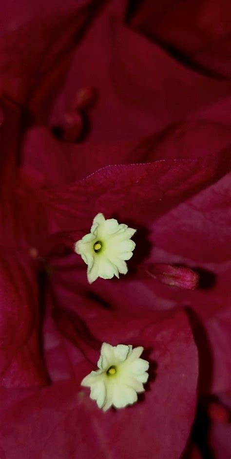 Pin av Camilo Martínez på Naturaleza