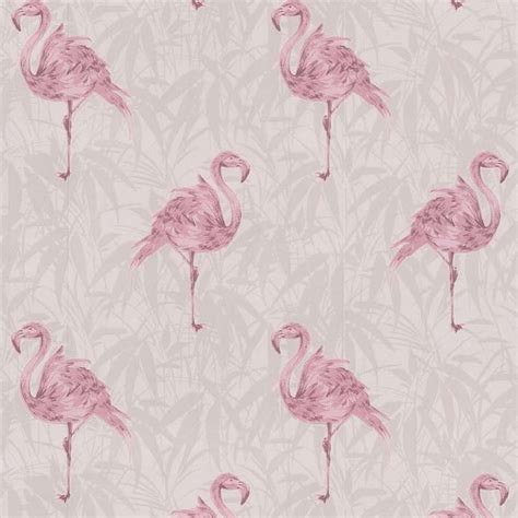 Pink Flamingo Wallpaper Wallpapersafari Hot Sex Picture