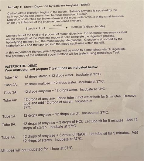 Solved Activity 1 Starch Digestion By Salivary Amylase Chegg