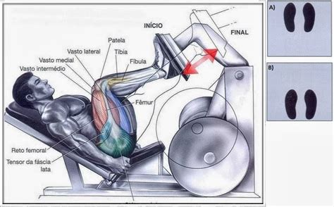 Treino De Pernas Para Mulheres O Guia Completo