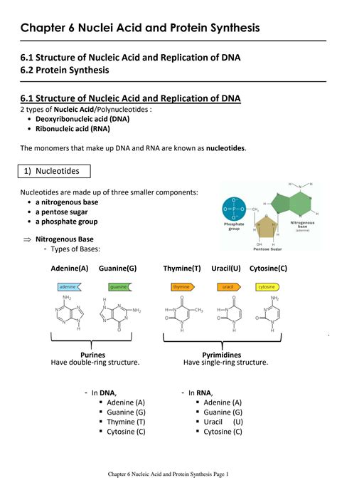 Solution Cambridge As Level Biology Chapter 6 Nucleic Acid And Protein Synthesis Precise And