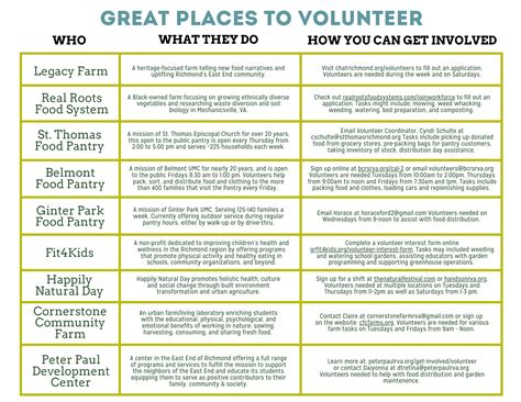 Volunteer Interest Form | Shalom Farms