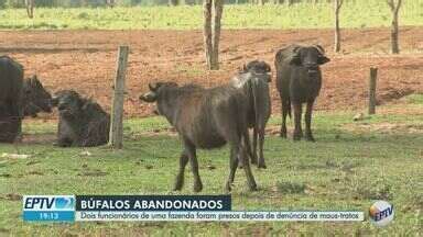 Jornal da EPTV 2ª Edição Ribeirão Preto Funcionários de fazenda são