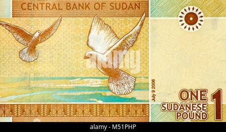 Money of Sudan. Sudanese pound bills. SDG banknotes. 100 pounds ...