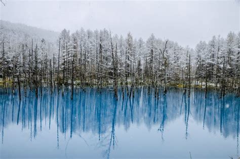 Biei Blue Pond, Hokkaido, Japan. Stock Image - Image of natural ...