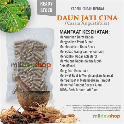 Jual Kapsul Curah Herbal JATI CINA Pelangsing Metabolisme 100 Capsul