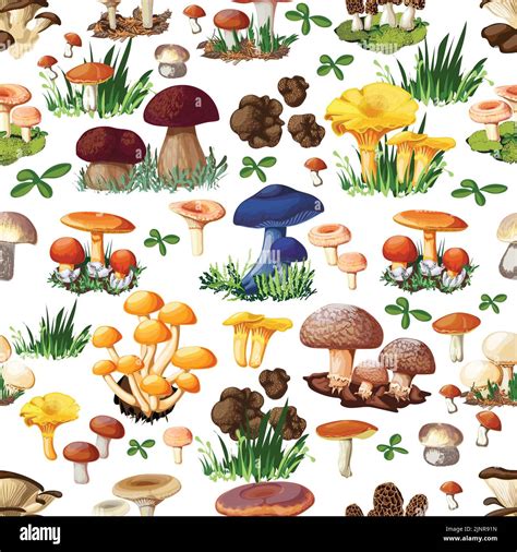 Mushroom Seamless Pattern With Forest Wild Species So As Suillus