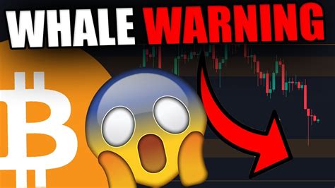 THE WHALES DUMPING BITCOIN DATA REVEALED This Is The Next Bitcoin Move