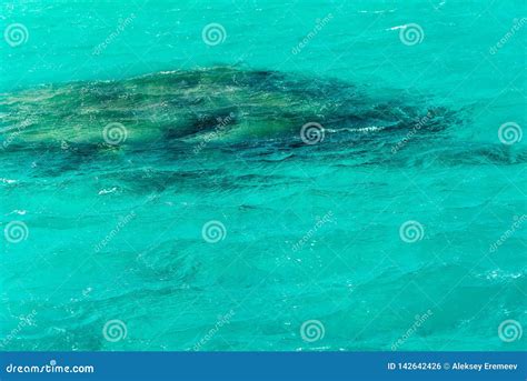 Texture Blue Sea Or Ocean Water Full Frame Stock Photo Image Of Cool