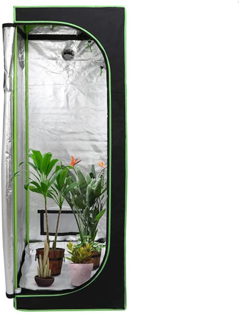 Coltivare Piante Indoor Cosa Sapere Grow Box Italia