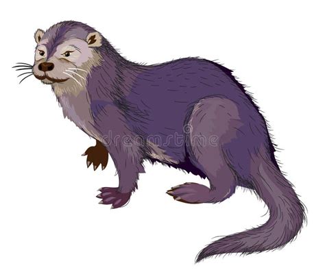 Illustration De La Loutre De Rivière Mammifère De La Famille De La