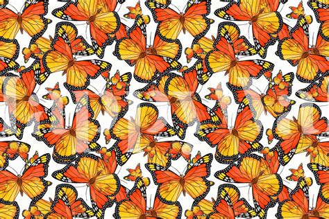 Monarch Butterflies 5 Wallpaper - Buy Online at Happywall