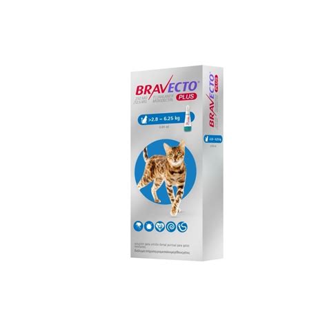 Bravecto Plus Protección Integral En Gatos