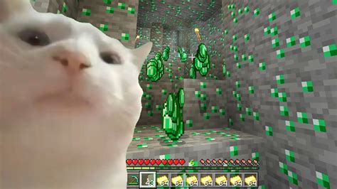 Cat Vibing In Minecraft Meme Compilation Part 1 Youtube