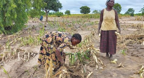 Cyclone Freddy Government Tipped On Reviving Agriculture Sector Capital Radio Malawi