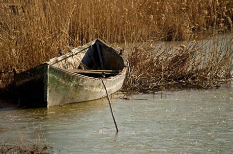 Boat in reeds stock image. Image of reflection, colour - 23918659