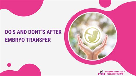 Do S And Dont S After Embryo Transfer