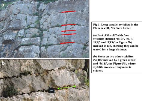 table   sedimentary stylolite networks  connectivity