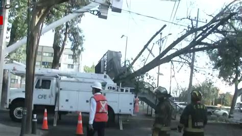 Árbol cae por fuertes vientos en la alcaldía Benito Juárez CdMx Grupo