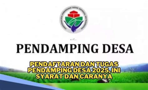 Rekrutmen Pendamping Desa 2025 Simak Skema Tahapan Seleksinya