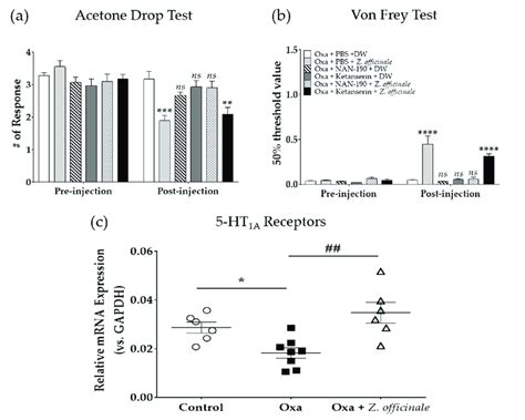 Effect Of Intrathecal Injection Of Nan 190 Or Ketanserin On Z