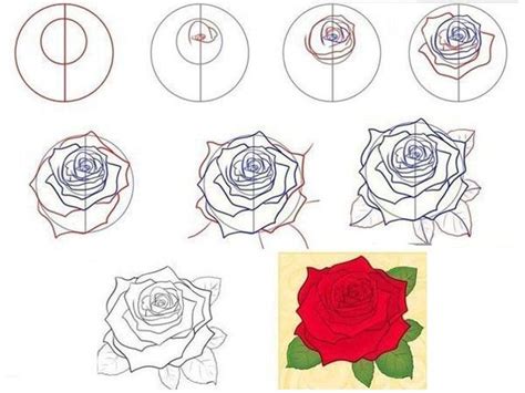 Hướng Dẫn Cách Vẽ Hoa Trên Inkscape Bắt đầu Và Hoàn Thiện Dễ Dàng