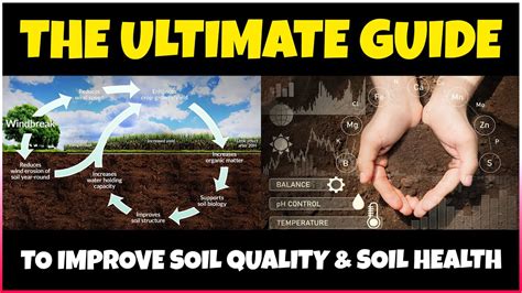 The Ultimate Guide To Improving Soil Quality And Soil Health On Your