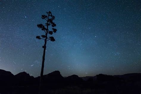 A Guide to Arizona's Starry Night Sky - National Forest Foundation