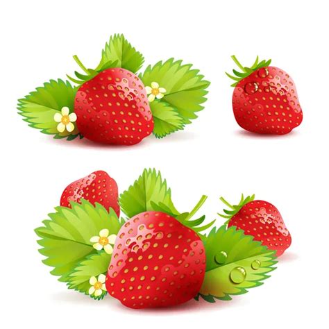 Strawberry Vector Art Stock Images Depositphotos