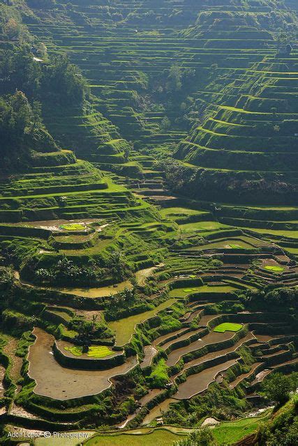 An Aerial View Of Rice Terraces In The Mountains