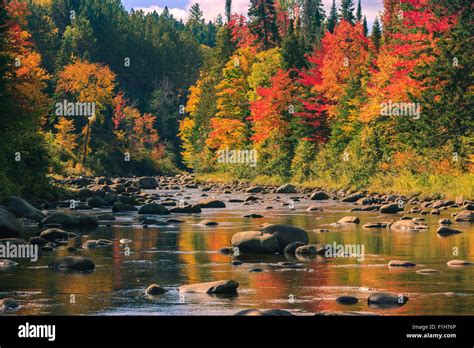 Autumn Colors Near Lake Placid In Adirondacks State Park In The