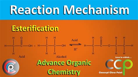 Esterification Process Reaction Mechanism Advance Organic Chemistry