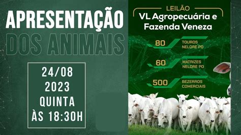 Apresenta O Leilao Vl Agropecuaria Fazenda Veneza Youtube