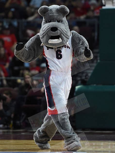 Gonzaga Bulldogs Grey Dog Mascot Costume Animal