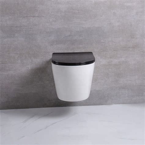 Buy Luxury Sanitary Ware Wc Soft Closing Black Seat Cover Hanging