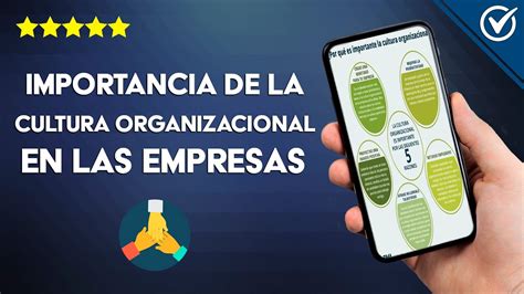 ¿cuál Es La Importancia De La Cultura Organizacional En Las Empresas